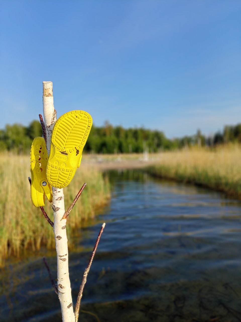Жёлтые шлёпанцы у воды